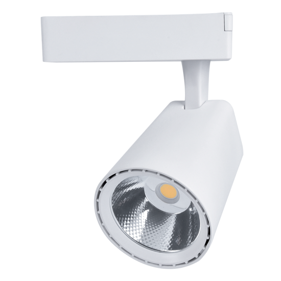 SPOT SKY TL5030 COB 30W 220-240V 4000K 36° WHITE